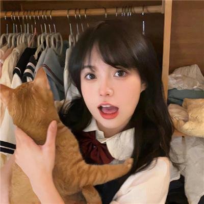 神猫密探队