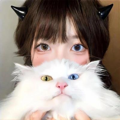 日本高清